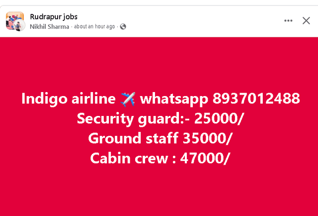 INDIGO AIRLINE JOB